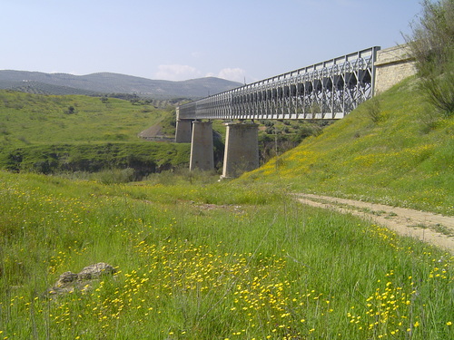 puente del rio viboras.jpg