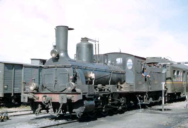 5396.jpg