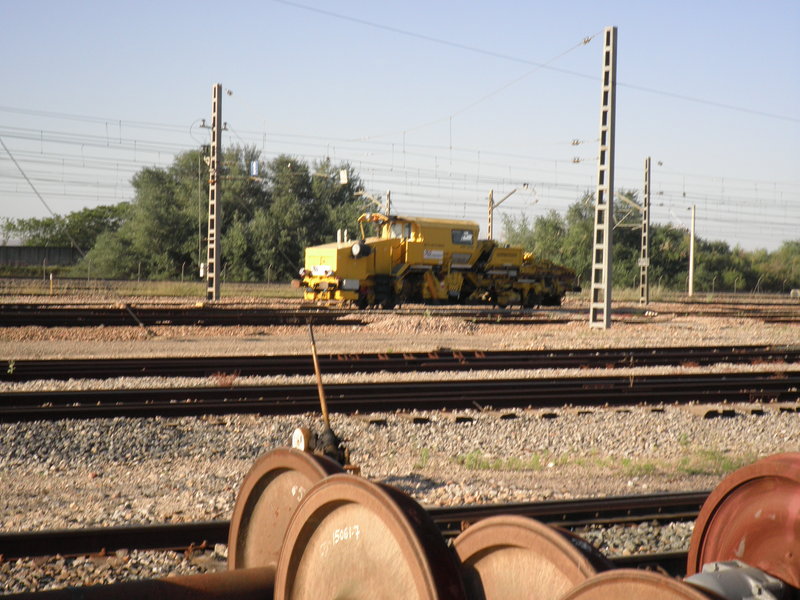 P5222975.JPG