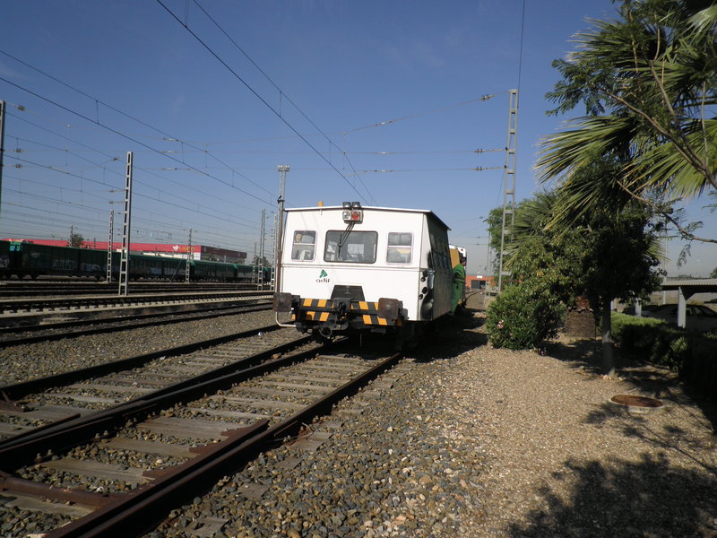 P5222977.JPG