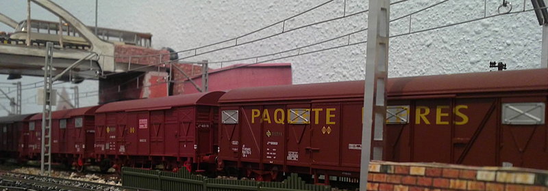 20052012528.JPG