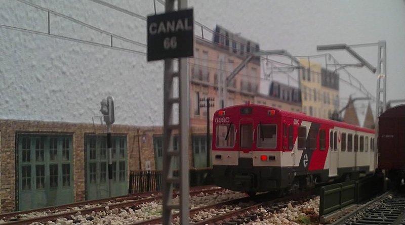 20052012563.JPG