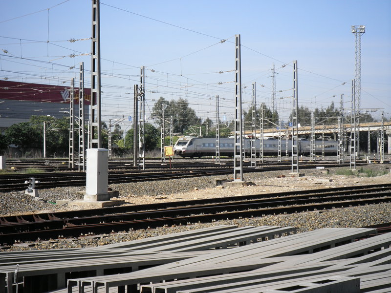 P5222987.JPG