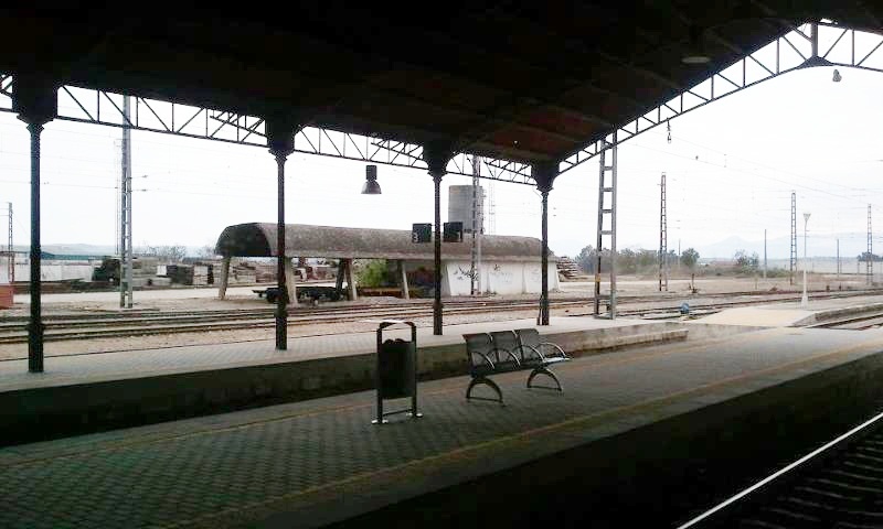 5205.jpg