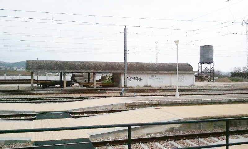 5207.jpg