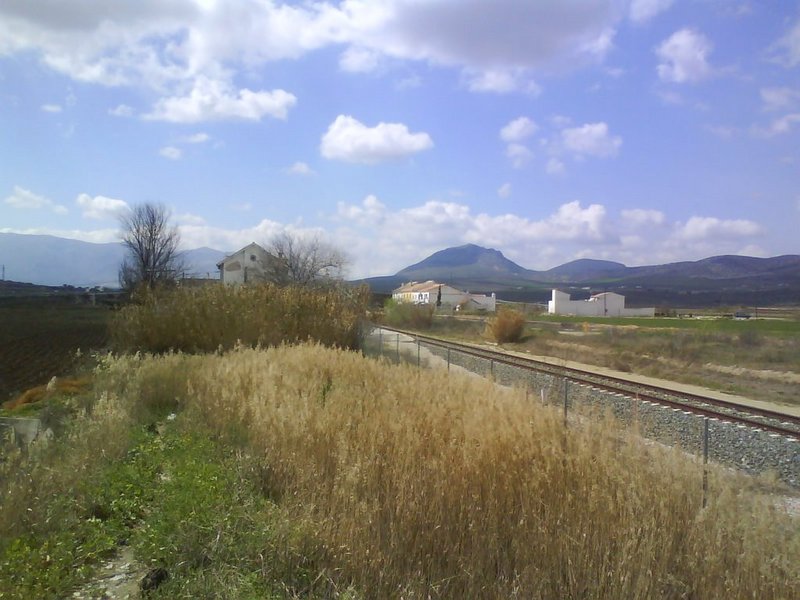 5240.jpg