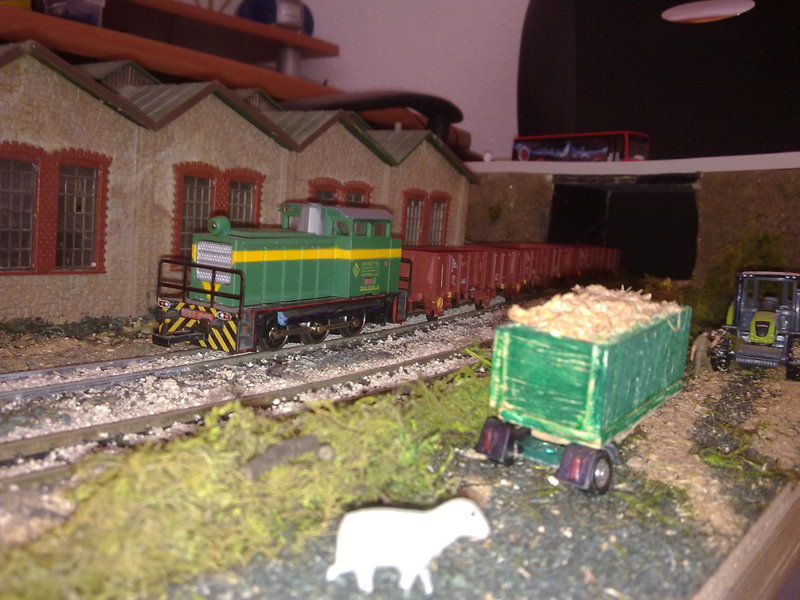 07052012451.jpg