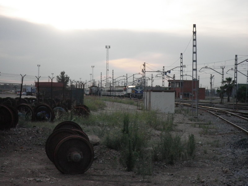 P5303059.JPG