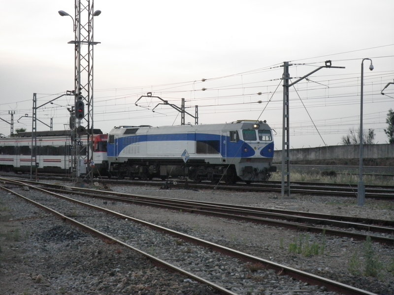 P5303061.JPG