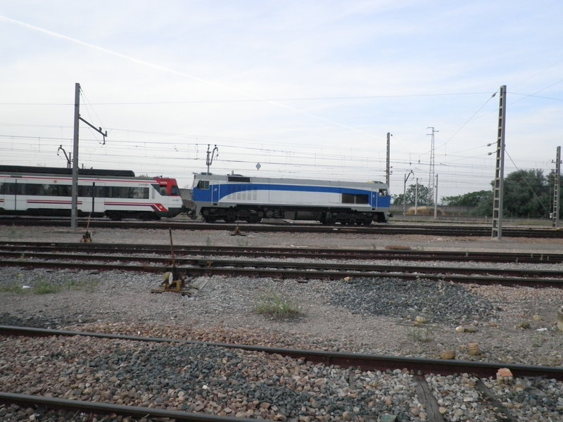 P5303062.JPG