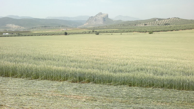 180520122009.jpg