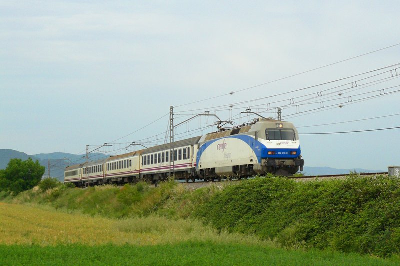 P1100260.JPG