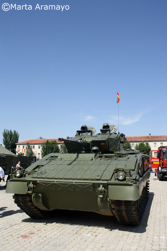 IMG_8688.jpg