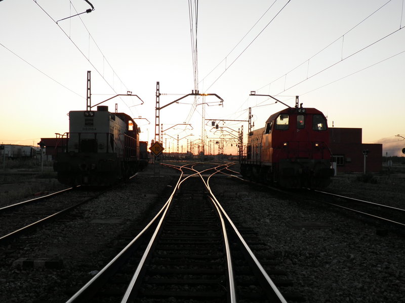 P6063171.JPG