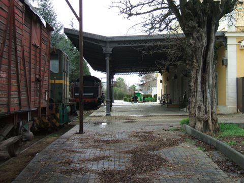 5446.jpg