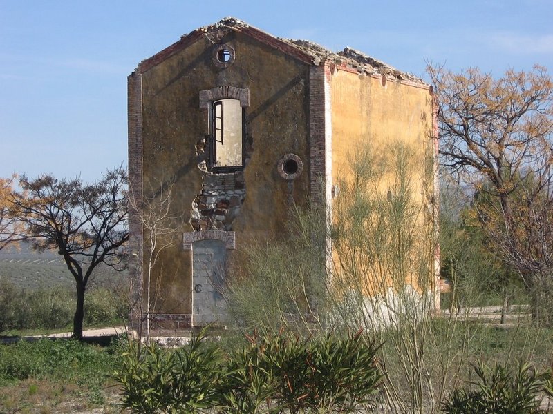 5457.JPG