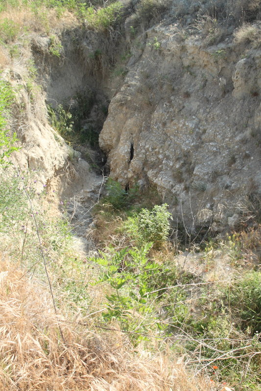 Cartuja00043.JPG