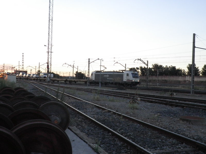P6113182.JPG