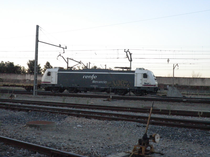 P6113183.JPG