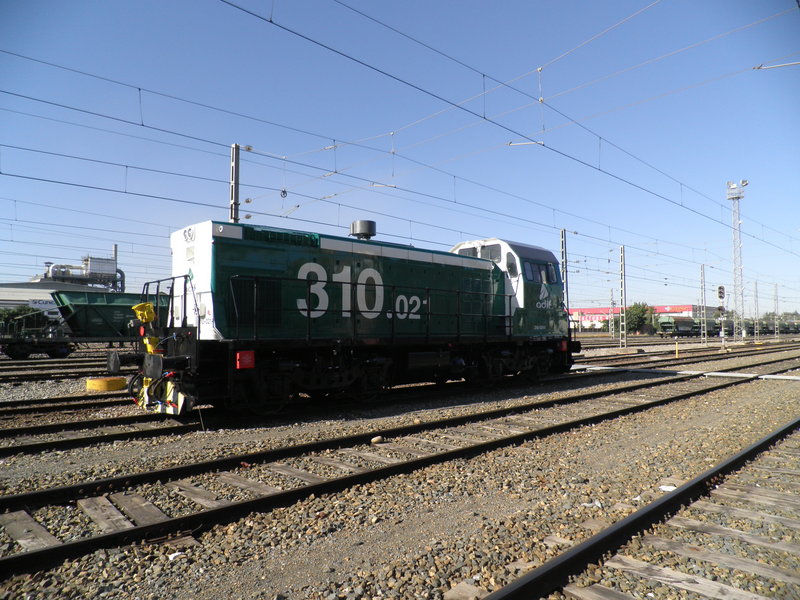 P6133182.JPG