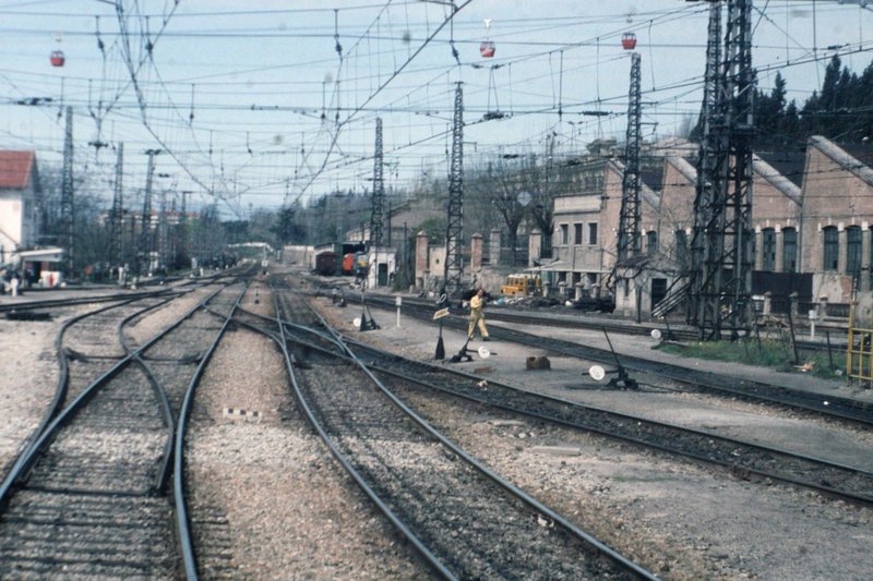 5485.jpg