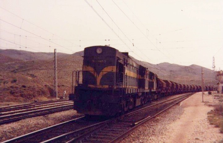 5286.jpg