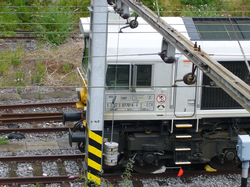 77014 M.JPG