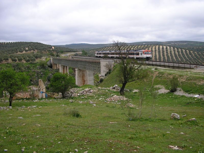 5503.JPG