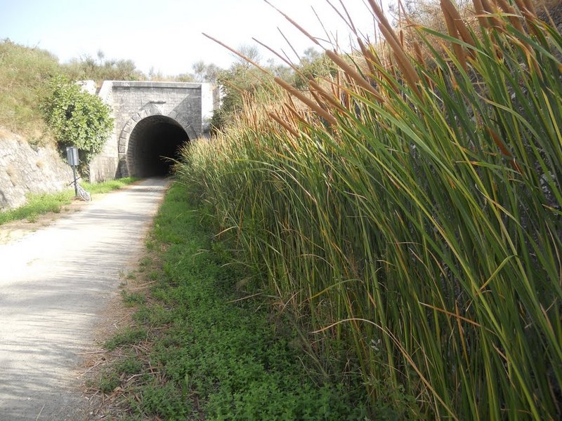 acceso a tunel del plantio.jpg