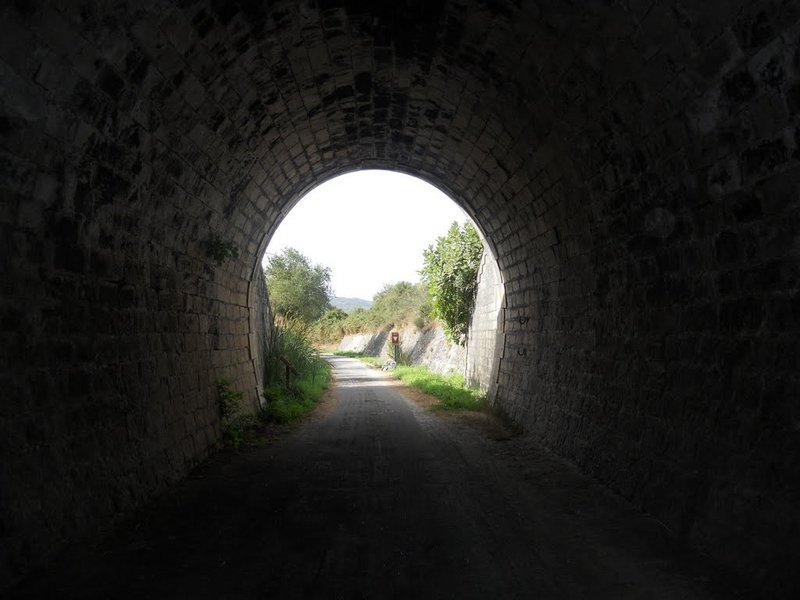 interior tunel del plantio.jpg