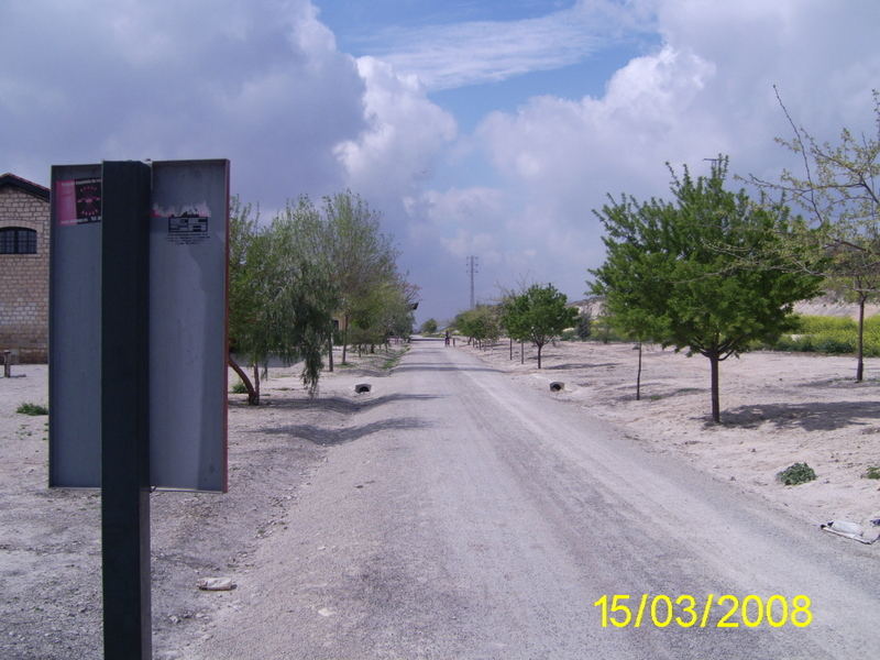 5412.jpg
