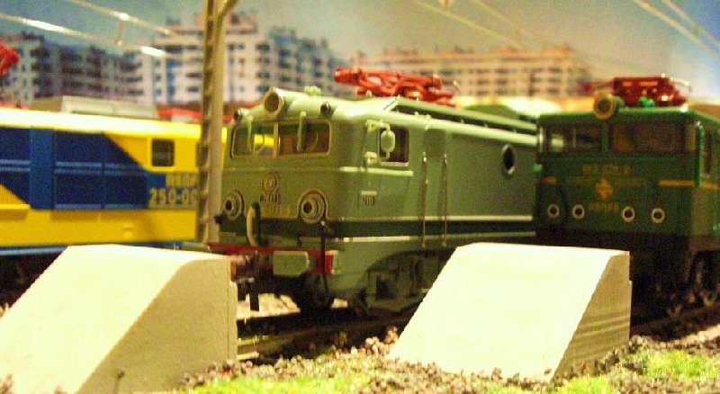 CIMG6054.JPG