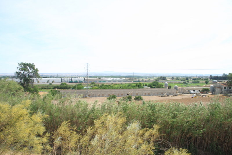 Cartuja00029.JPG
