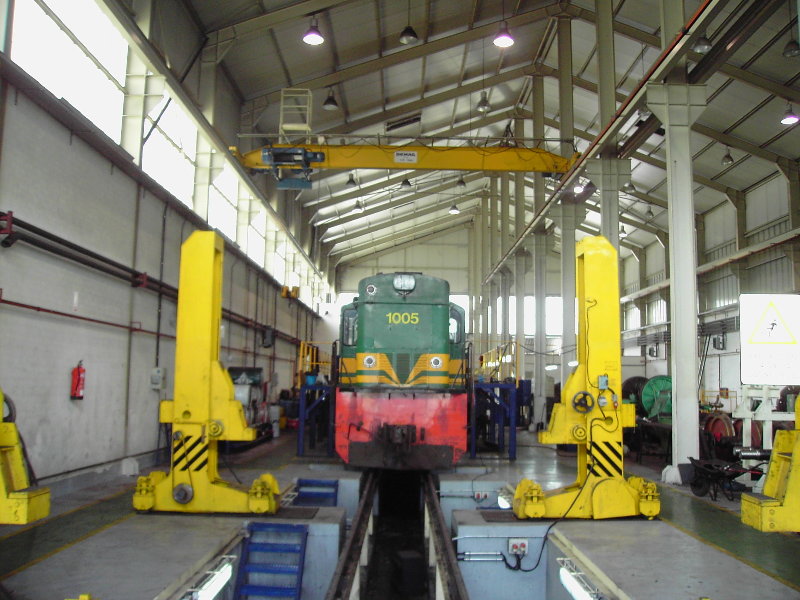 ALCo 1005 en el foso y gatos.JPG