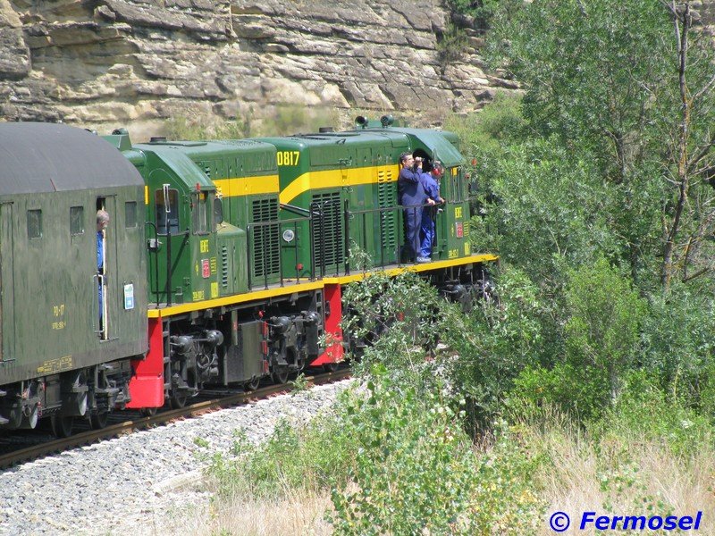 Tren de los Lagos 1.jpg