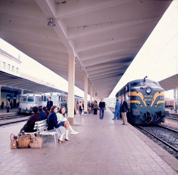 5434.JPG