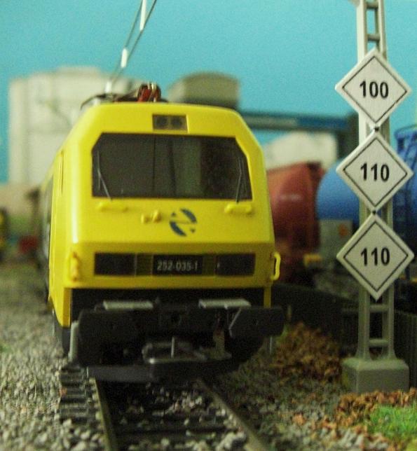 CIMG6104.JPG