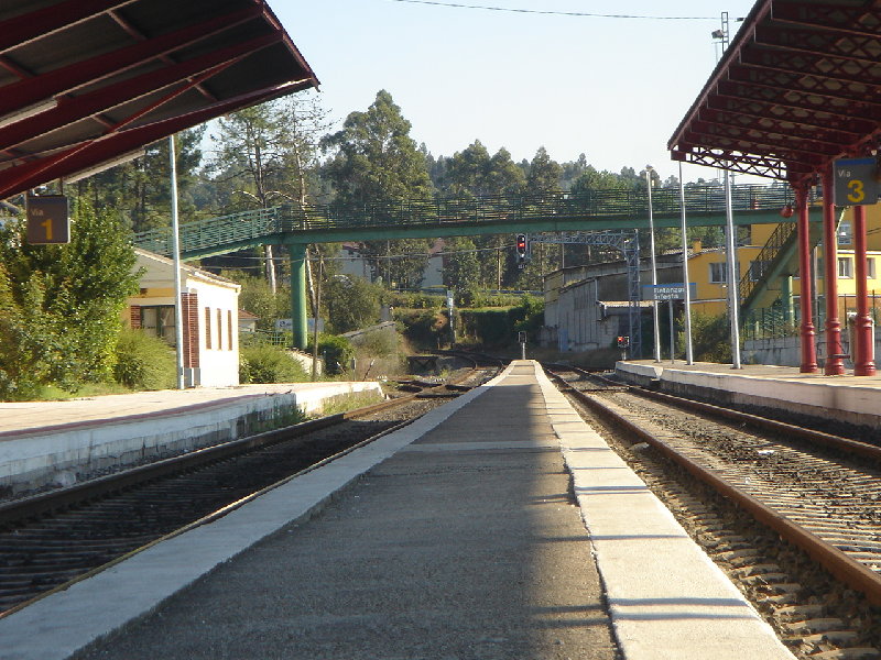 DSC02316.JPG