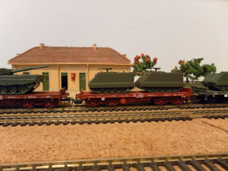 SAM_0307.JPG