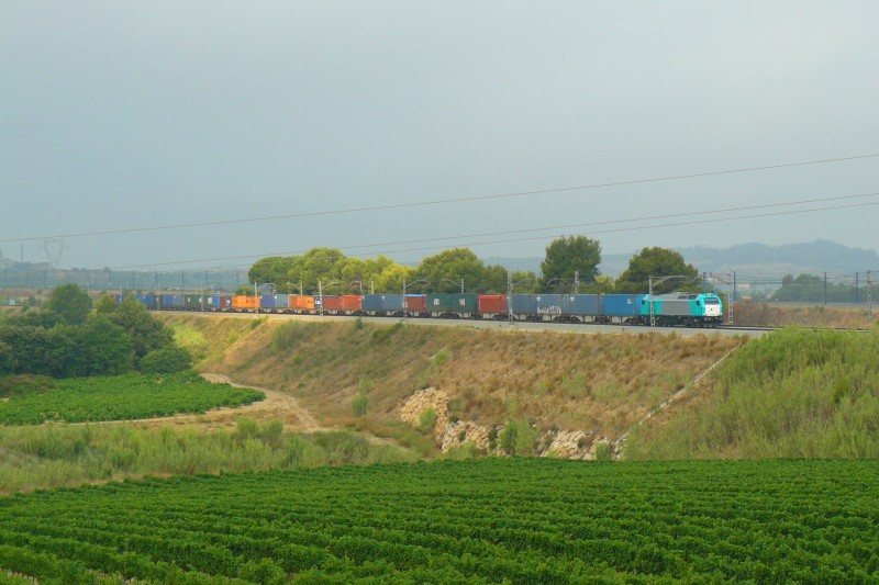 P1100690.JPG