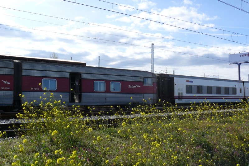 P1090137.JPG
