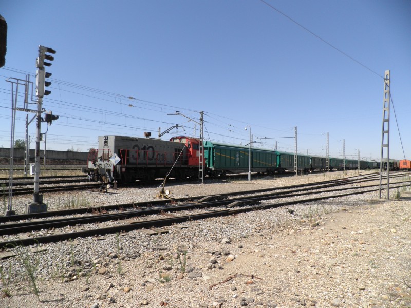 P7053264.JPG