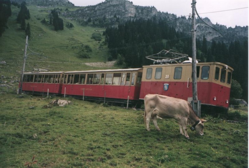 Schynige_Platte_Bahn (Martin Hawlisch).JPG