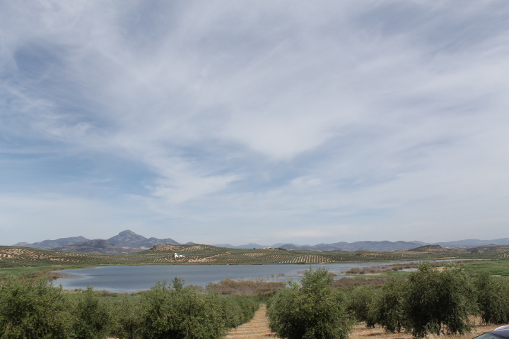 Laguna del salobral.jpg