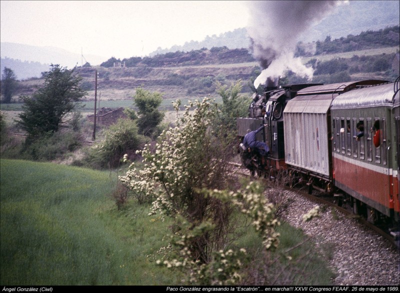 CIWL1126.jpg