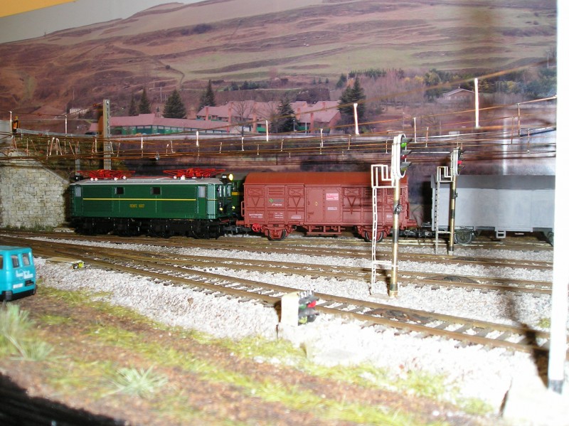 P1010090.JPG