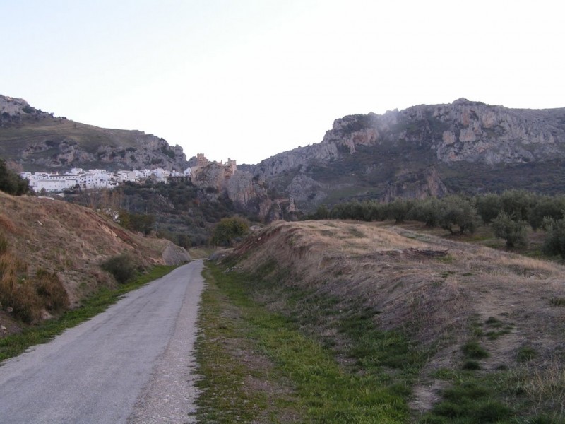5488.jpg