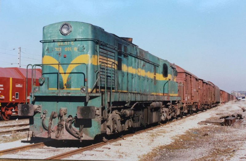 5179.jpg