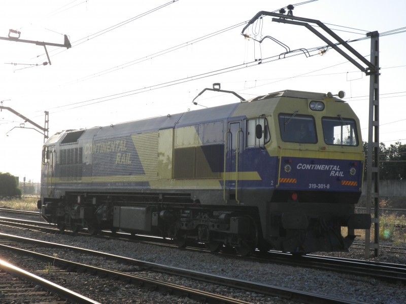 P7043258.JPG