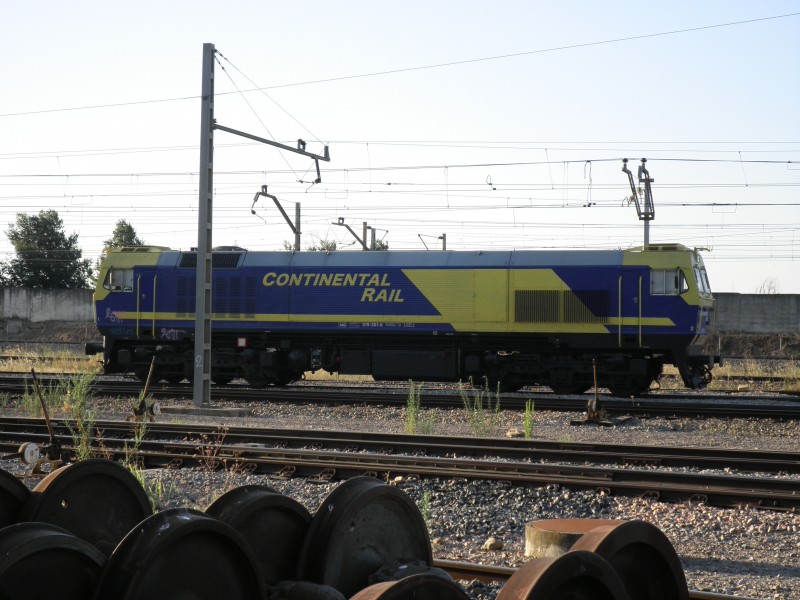 P7043261.JPG